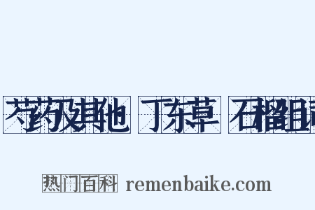 芍药及其他·丁东草·石榴组词是什么意思的图片